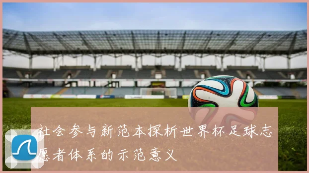 社会参与新范本探析世界杯足球志愿者体系的示范意义