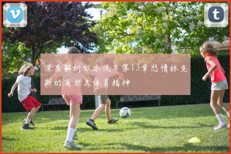 深度解析似水流年第13章悲情林克斯的高尔夫体育精神